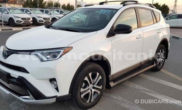 Buy Import Toyota RAV4 White Car in Import - Dubai in Adrar Buy Import Toyota RAV4 White Car in Import - Dubai in Adrar