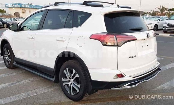 Buy Import Toyota RAV4 White Car in Import - Dubai in Adrar Buy Import Toyota RAV4 White Car in Import - Dubai in Adrar