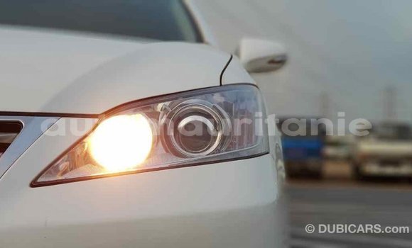 Acheter Import Voiture Lexus ES Blanc à Import - Dubai, Adrar Acheter Import Voiture Lexus ES Blanc à Import - Dubai, Adrar