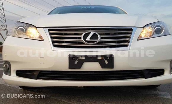 Acheter Import Voiture Lexus ES Blanc à Import - Dubai, Adrar Acheter Import Voiture Lexus ES Blanc à Import - Dubai, Adrar
