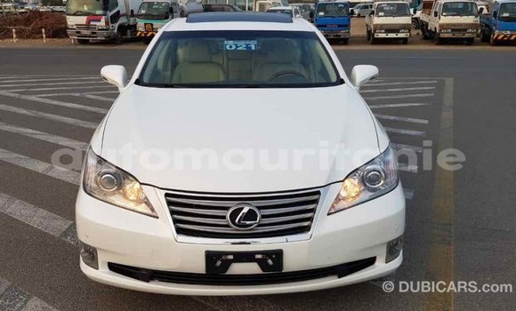 Acheter Import Voiture Lexus ES Blanc à Import - Dubai, Adrar Acheter Import Voiture Lexus ES Blanc à Import - Dubai, Adrar