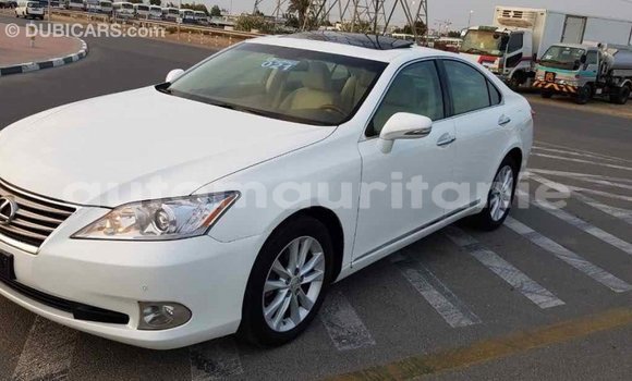 Acheter Import Voiture Lexus ES Blanc à Import - Dubai, Adrar Acheter Import Voiture Lexus ES Blanc à Import - Dubai, Adrar