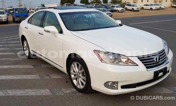 Acheter Import Voiture Lexus ES Blanc à Import - Dubai, Adrar Acheter Import Voiture Lexus ES Blanc à Import - Dubai, Adrar