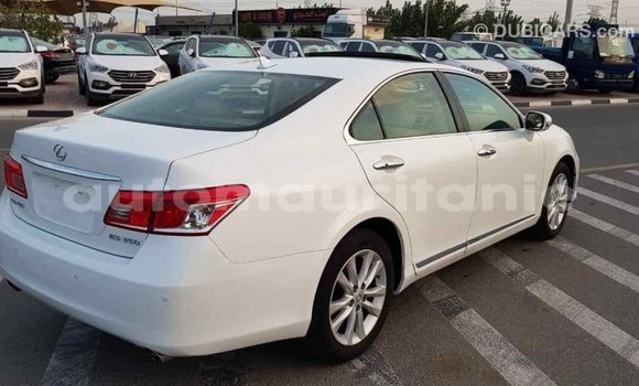 Acheter Import Voiture Lexus ES Blanc à Import - Dubai, Adrar Acheter Import Voiture Lexus ES Blanc à Import - Dubai, Adrar