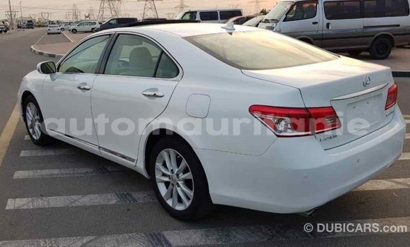 Acheter Import Voiture Lexus ES Blanc à Import - Dubai, Adrar Acheter Import Voiture Lexus ES Blanc à Import - Dubai, Adrar