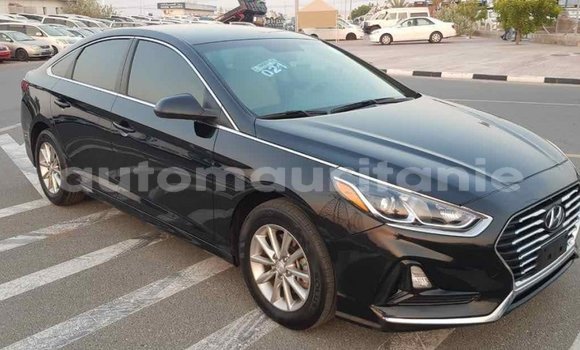 Buy Import Hyundai Sonata Black Car in Import - Dubai in Adrar Buy Import Hyundai Sonata Black Car in Import - Dubai in Adrar