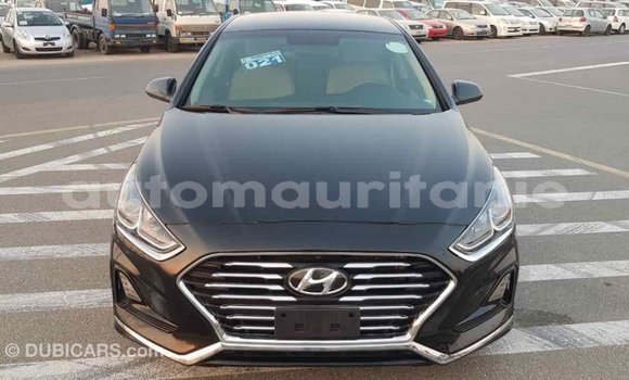 Buy Import Hyundai Sonata Black Car in Import - Dubai in Adrar Buy Import Hyundai Sonata Black Car in Import - Dubai in Adrar