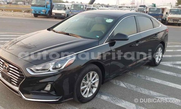 Buy Import Hyundai Sonata Black Car in Import - Dubai in Adrar Buy Import Hyundai Sonata Black Car in Import - Dubai in Adrar