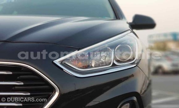 Buy Import Hyundai Sonata Black Car in Import - Dubai in Adrar Buy Import Hyundai Sonata Black Car in Import - Dubai in Adrar