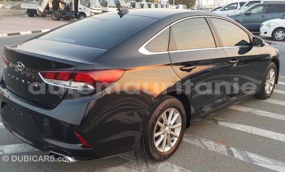 Buy Import Hyundai Sonata Black Car in Import - Dubai in Adrar Buy Import Hyundai Sonata Black Car in Import - Dubai in Adrar