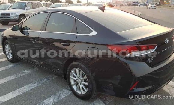 Buy Import Hyundai Sonata Black Car in Import - Dubai in Adrar Buy Import Hyundai Sonata Black Car in Import - Dubai in Adrar