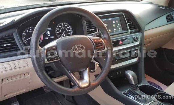 Buy Import Hyundai Sonata Black Car in Import - Dubai in Adrar Buy Import Hyundai Sonata Black Car in Import - Dubai in Adrar