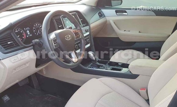 Buy Import Hyundai Sonata Black Car in Import - Dubai in Adrar Buy Import Hyundai Sonata Black Car in Import - Dubai in Adrar