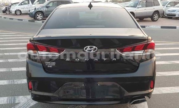 Buy Import Hyundai Sonata Black Car in Import - Dubai in Adrar Buy Import Hyundai Sonata Black Car in Import - Dubai in Adrar