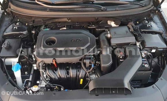 Buy Import Hyundai Sonata Black Car in Import - Dubai in Adrar Buy Import Hyundai Sonata Black Car in Import - Dubai in Adrar