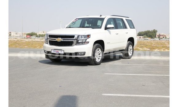 Acheter Import Voiture Chevrolet Tahoe Blanc à Import - Dubai, Adrar