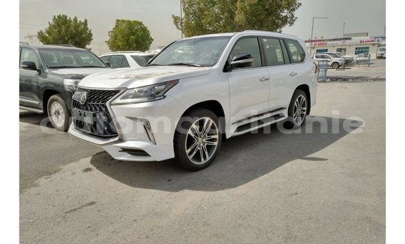 Buy Import Lexus LX Red Car in Import - Dubai in Adrar Buy Import Lexus LX Red Car in Import - Dubai in Adrar