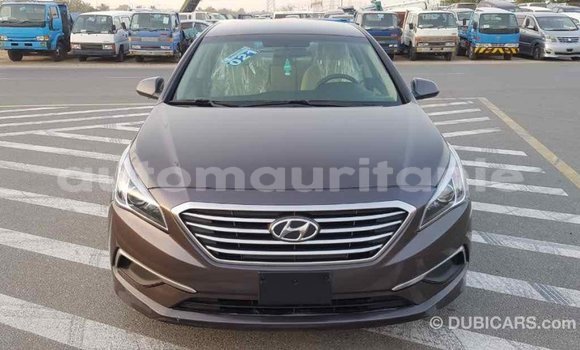 Acheter Import Voiture Hyundai Sonata Marron à Import - Dubai, Adrar Acheter Import Voiture Hyundai Sonata Marron à Import - Dubai, Adrar