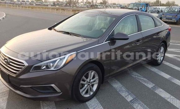 Acheter Import Voiture Hyundai Sonata Marron à Import - Dubai, Adrar Acheter Import Voiture Hyundai Sonata Marron à Import - Dubai, Adrar