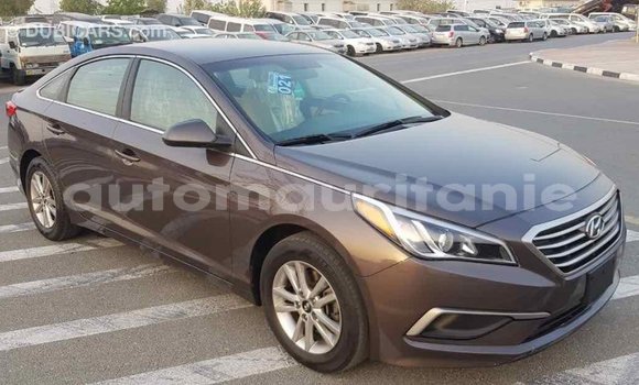 Acheter Import Voiture Hyundai Sonata Marron à Import - Dubai, Adrar Acheter Import Voiture Hyundai Sonata Marron à Import - Dubai, Adrar