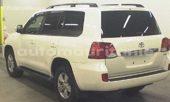 Acheter Import Voiture Toyota Land Cruiser Blanc à Import - Dubai, Adrar Acheter Import Voiture Toyota Land Cruiser Blanc à Import - Dubai, Adrar