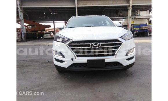 Buy Import Hyundai Tucson White Car in Import - Dubai in Adrar Buy Import Hyundai Tucson White Car in Import - Dubai in Adrar