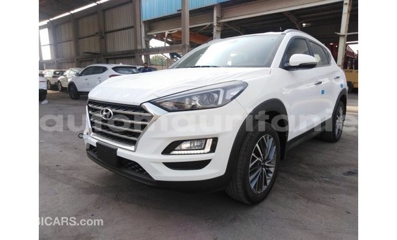 Buy Import Hyundai Tucson White Car in Import - Dubai in Adrar Buy Import Hyundai Tucson White Car in Import - Dubai in Adrar