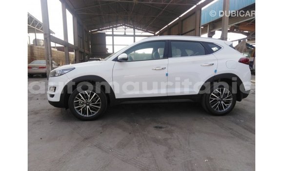 Buy Import Hyundai Tucson White Car in Import - Dubai in Adrar Buy Import Hyundai Tucson White Car in Import - Dubai in Adrar