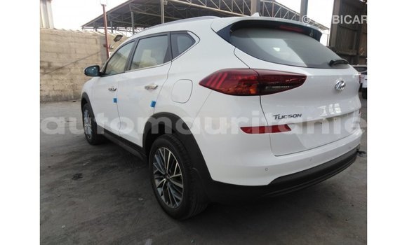 Buy Import Hyundai Tucson White Car in Import - Dubai in Adrar Buy Import Hyundai Tucson White Car in Import - Dubai in Adrar