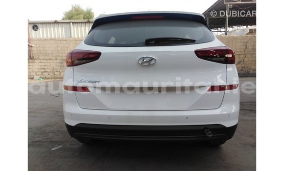 Buy Import Hyundai Tucson White Car in Import - Dubai in Adrar Buy Import Hyundai Tucson White Car in Import - Dubai in Adrar