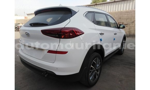 Buy Import Hyundai Tucson White Car in Import - Dubai in Adrar Buy Import Hyundai Tucson White Car in Import - Dubai in Adrar