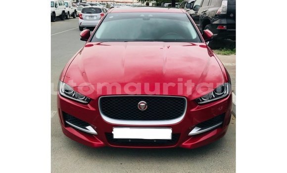 Acheter Import Voiture Jaguar XE Rouge à Import - Dubai, Adrar