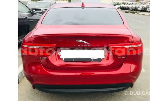 Acheter Import Voiture Jaguar XE Rouge à Import - Dubai, Adrar Acheter Import Voiture Jaguar XE Rouge à Import - Dubai, Adrar