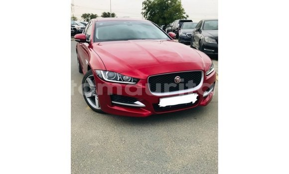 Acheter Import Voiture Jaguar XE Rouge à Import - Dubai, Adrar Acheter Import Voiture Jaguar XE Rouge à Import - Dubai, Adrar