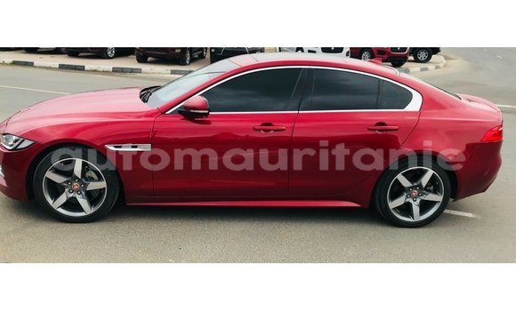 Acheter Import Voiture Jaguar XE Rouge à Import - Dubai, Adrar Acheter Import Voiture Jaguar XE Rouge à Import - Dubai, Adrar