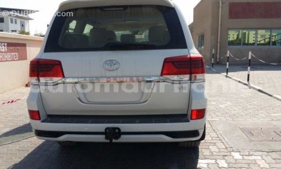 Acheter Import Voiture Toyota Land Cruiser Blanc à Import - Dubai, Adrar Acheter Import Voiture Toyota Land Cruiser Blanc à Import - Dubai, Adrar