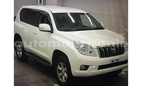 Acheter Import Voiture Toyota Prado Blanc à Import - Dubai, Adrar Acheter Import Voiture Toyota Prado Blanc à Import - Dubai, Adrar