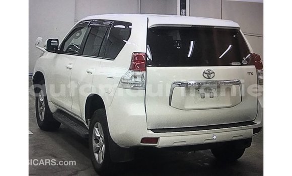 Acheter Import Voiture Toyota Prado Blanc à Import - Dubai, Adrar Acheter Import Voiture Toyota Prado Blanc à Import - Dubai, Adrar