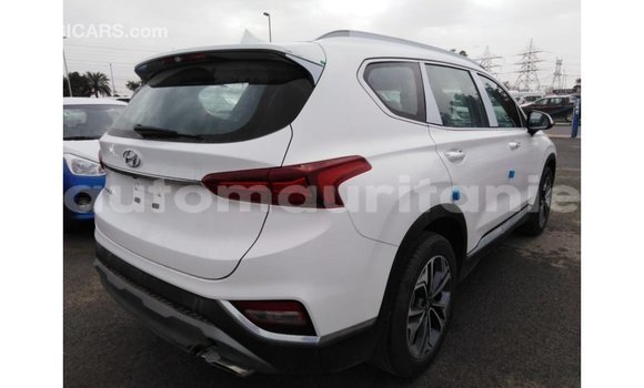 Acheter Import Voiture Hyundai Santa Fe Blanc à Import - Dubai, Adrar Acheter Import Voiture Hyundai Santa Fe Blanc à Import - Dubai, Adrar