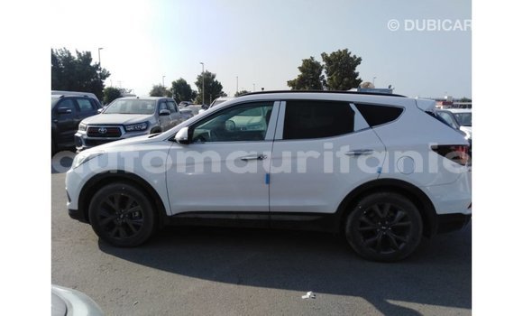 Buy Import Hyundai Santa Fe White Car in Import - Dubai in Adrar Buy Import Hyundai Santa Fe White Car in Import - Dubai in Adrar