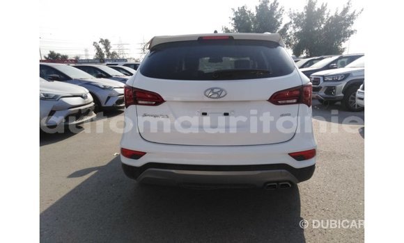 Acheter Import Voiture Hyundai Santa Fe Blanc à Import - Dubai, Adrar