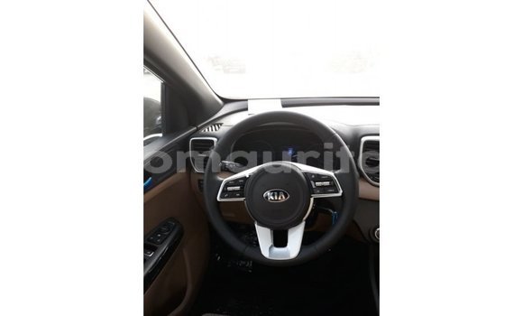 Buy Import Kia Sportage Black Car in Import - Dubai in Adrar Buy Import Kia Sportage Black Car in Import - Dubai in Adrar
