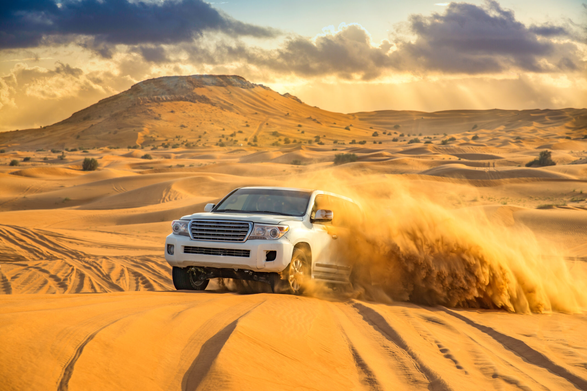 Desert